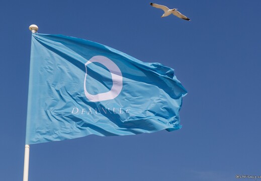 20250410-58 8373-Deauville