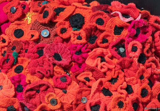 20250413-64 8792-Ver sur Mer British Normandy Memorial