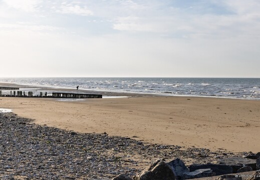 20250404-7532-Ver sur Mer Gold Beach