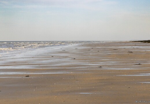 20250404-7537-Ver sur Mer Gold Beach