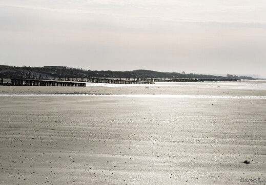 20250404-7539-Ver sur Mer Gold Beach