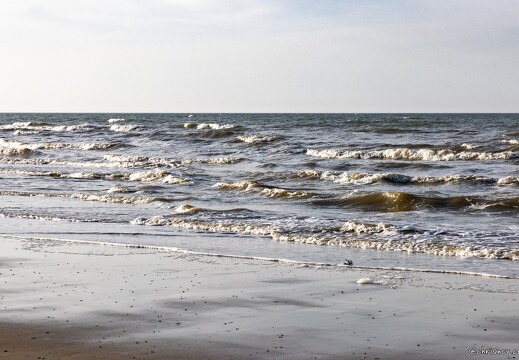 20250404-7541-Ver sur Mer Gold Beach