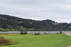 20250917-12 1081-Alpsee