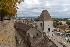 20250921-15 1540-Breisach am Rhein