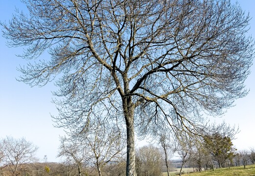 20220310-0508-Balade Leyr