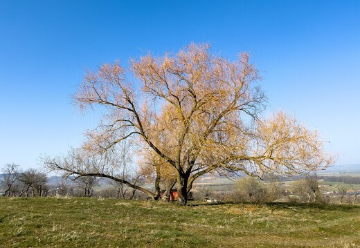 20220310-0512-Balade Leyr