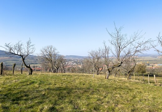 20220310-0515-Balade Leyr