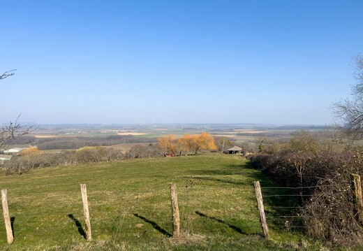 20220310-0516-Balade Leyr