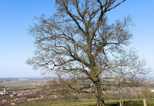 20220310-0520-Balade Leyr