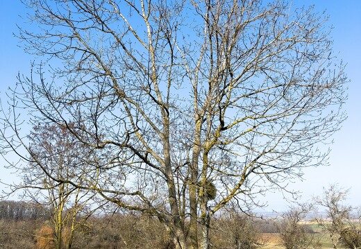 20220310-0525-Balade Leyr