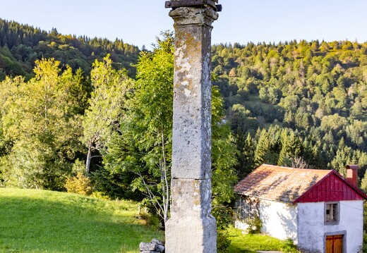 001-1.2-20230909-7937-La Bresse Croix des Alisiers