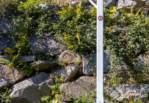 042-2.5-20230910-7965-La Bresse Croix des Combes