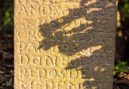 047-2.6-20230825-7837-la bresse croix claudon rue des champions