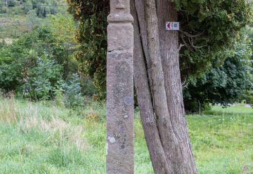 073-5.1-20230826-7840-La Bresse Croix Les Bastelles