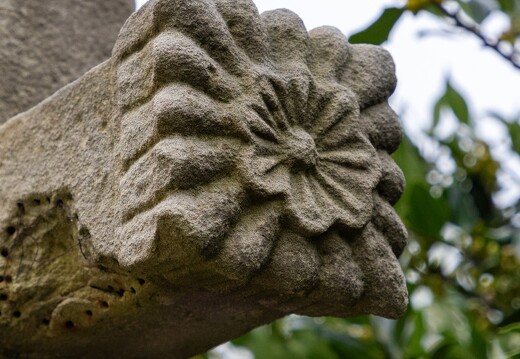 078-5.2-20230826-7852-La Bresse Croix Le Neuf Pre