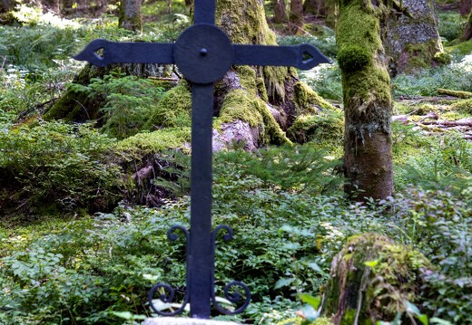 089-5.5-20230911-8027-La Bresse Croix route des Bouchaux