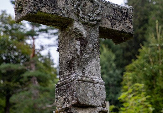 113-6.9-20230826-7877-La Bresse Croix Feignes sous Vologne