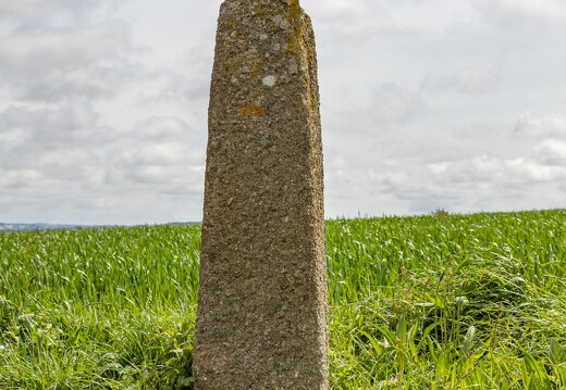 20230428-4086-Croix route plouarzel a breles