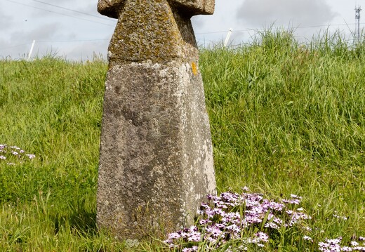 20230428-4082-Croix route plouarzel a breles