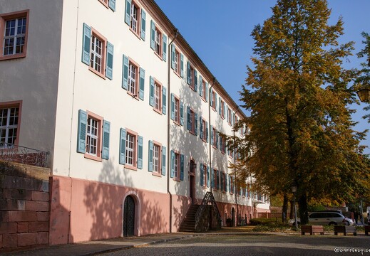 20121025-0372-Gengenbach