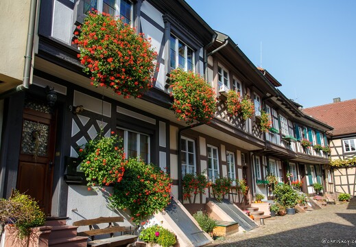 20121025-0403-Gengenbach