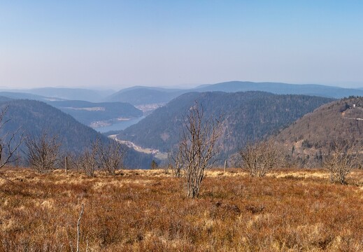 20220326-0627-Haut de Falimont vue vers Longemer Pano