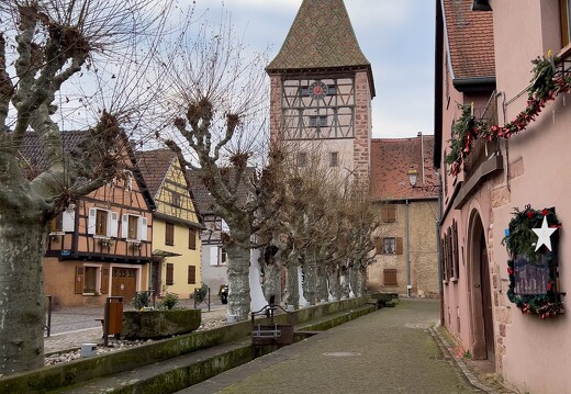 20211216-8774-Bergheim chemin des creches