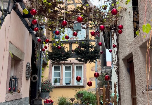 20211216-8810-Bergheim chemin des creches