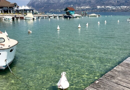 20220404-06 0863-Annecy le lac