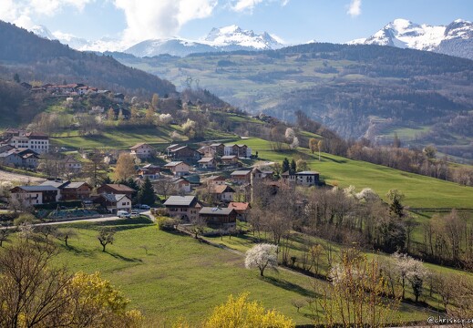 20220404-18 0682-Le Bois