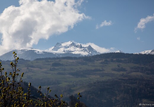 20220404-23 0687-Le Bois