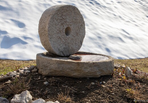 20220404-24 0689-Valmorel