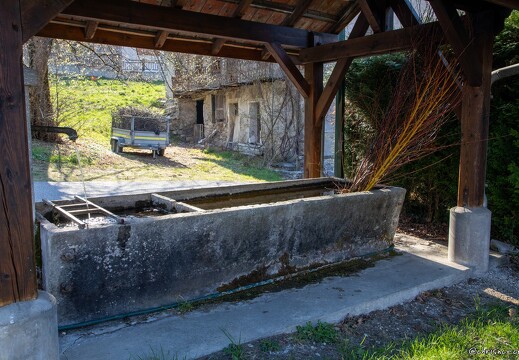 20220404-29 0696-Le Bois Lavoir