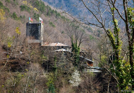 20220406-59 1000-Petit Coeur