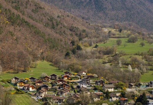 20220406-62 1006-Petit Coeur