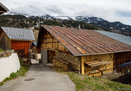 20220406-80 1041-Grand Naves