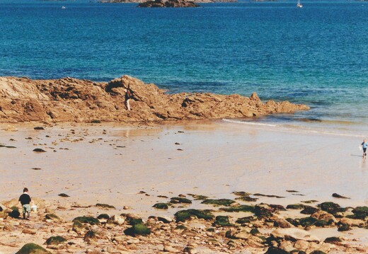 19990500-0039-Dinard Ile Harbour