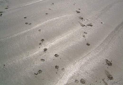 20030510-0066-dinard