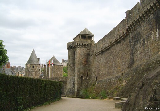 20030511-0112-fougeres