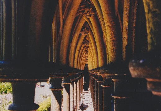19990500-0139-Mont St Michel cloitre