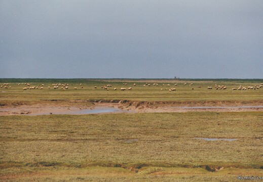 19990500-0153-Mont Saint Michel pres sales