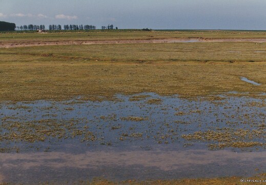19990500-0154-Mont Saint Michel pres sales