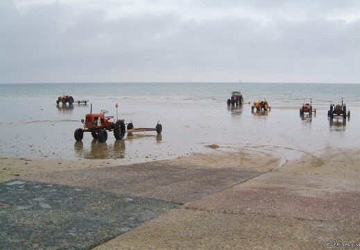 20030509-0030-gouville sur mer