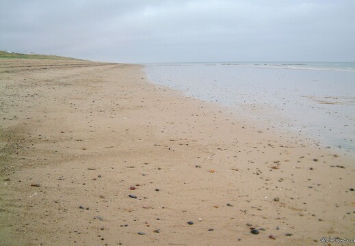 20030509-0034-gouville sur mer