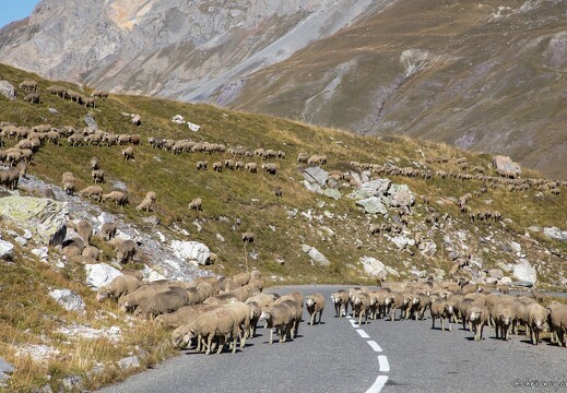 20211001-9487-Col du Galibier