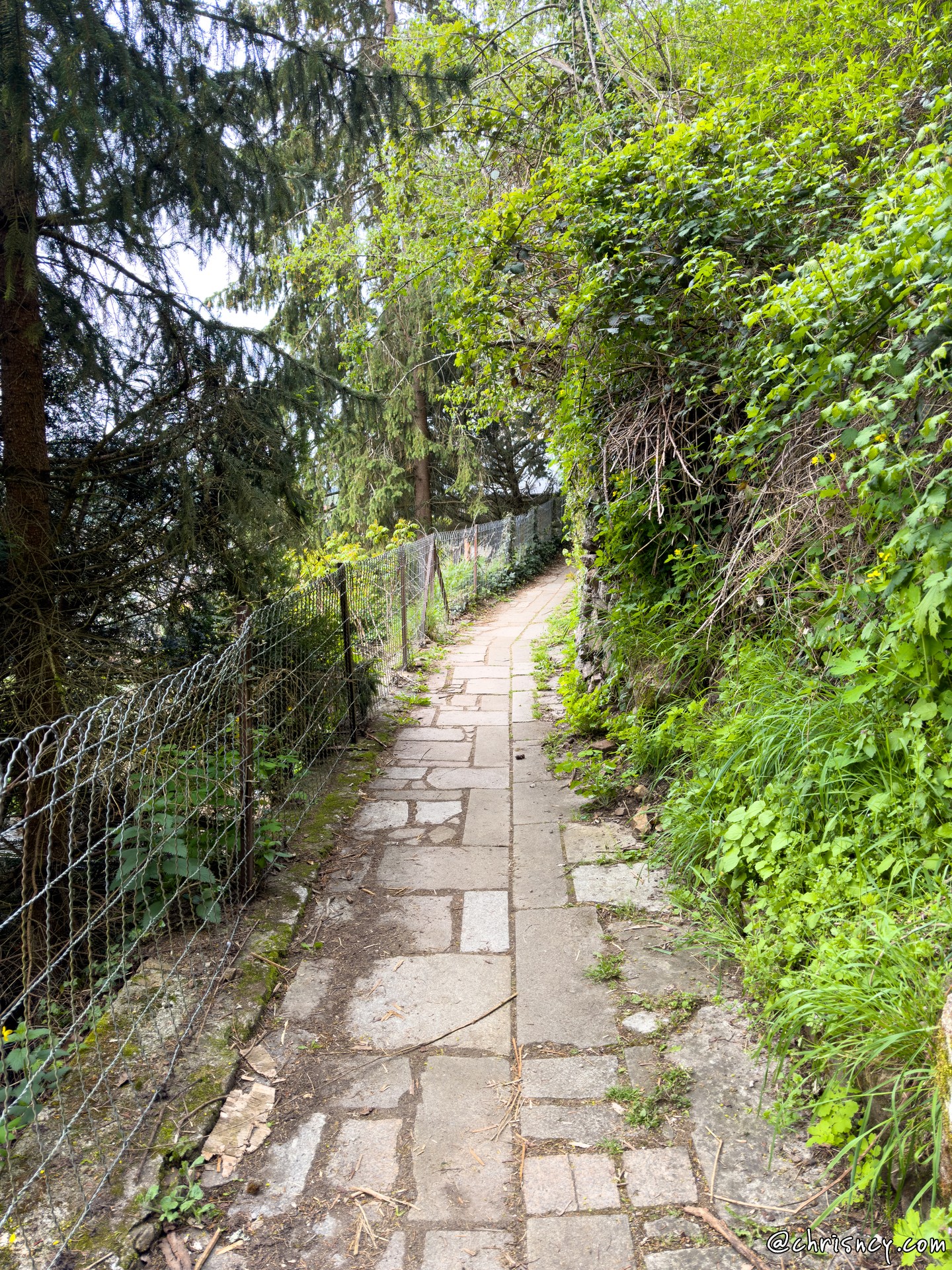 20240423-3681-Aubusson.jpg